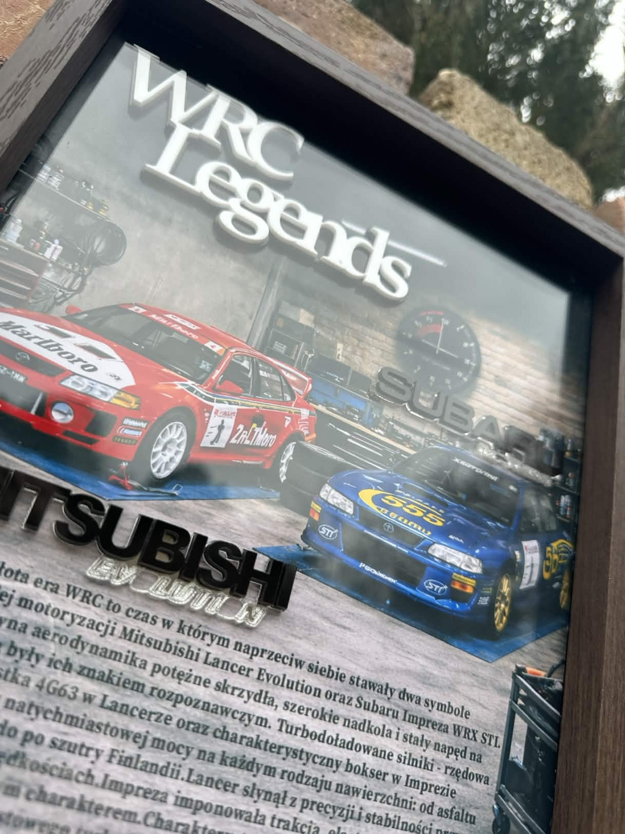 Obraz dekoracyjny 3D – WRC Legends